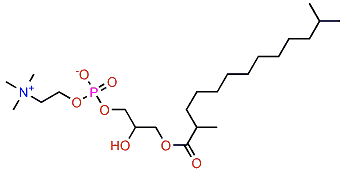 Stellettacholine B